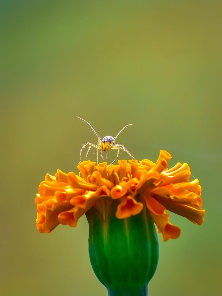 Photograph by SAIKAT PAL