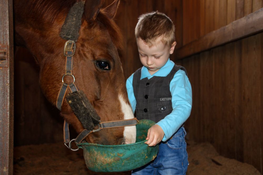 Photograph by Светлана Пузикова