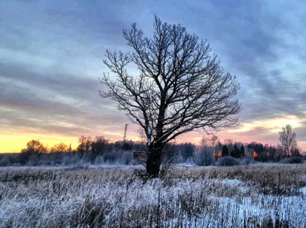 Photograph by Elena Lukashina