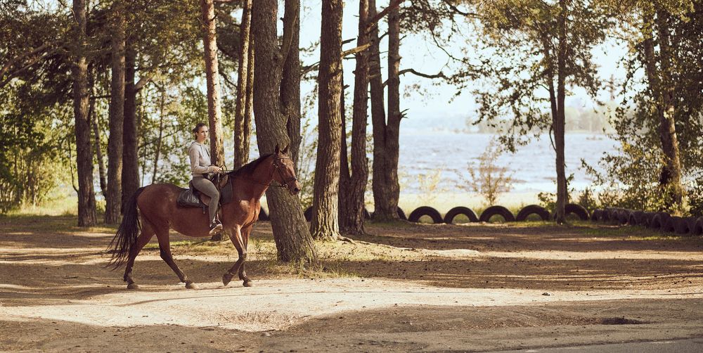 Фотография автора Алексей Каверин