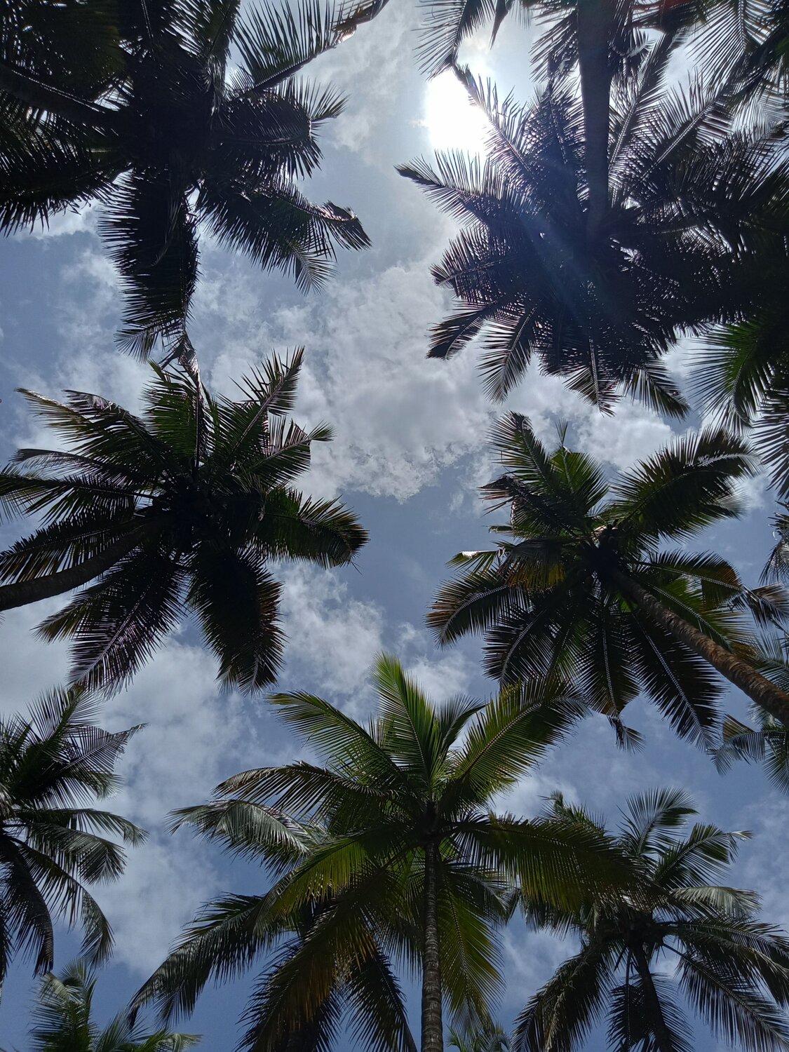 Afternoon Sky