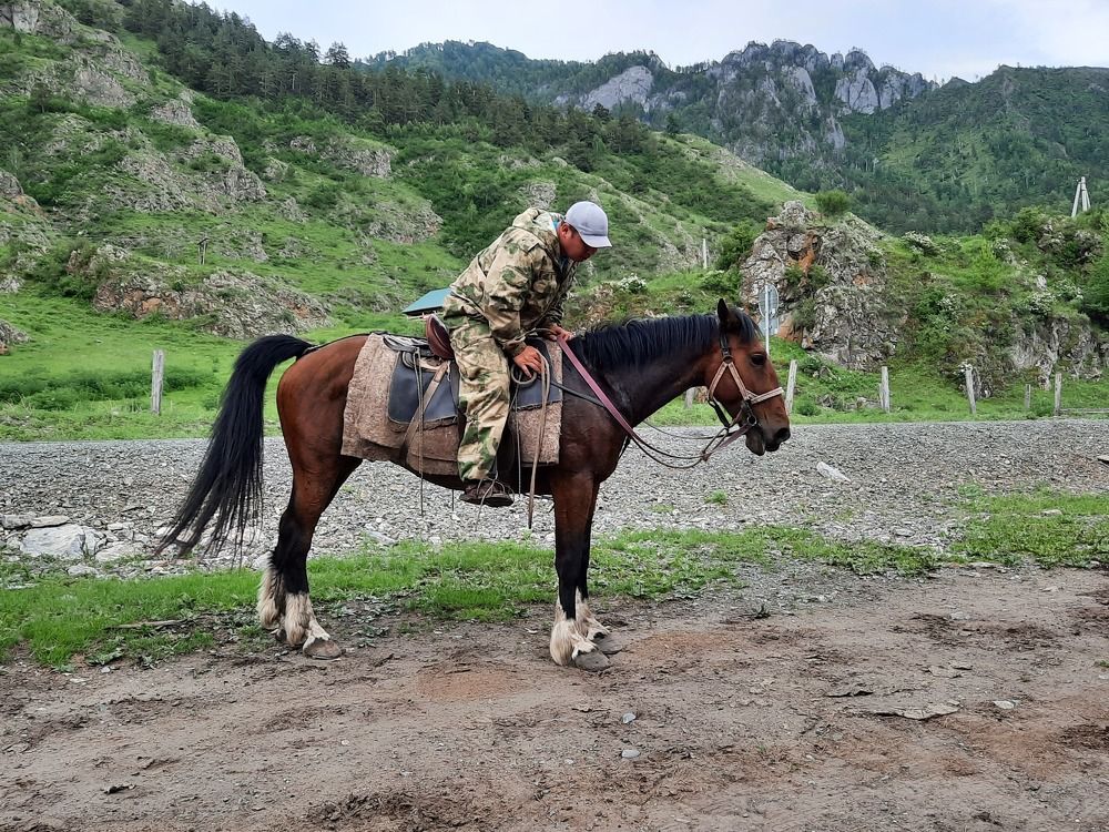 Фотография автора Елена Пикатова