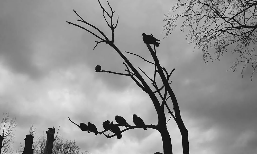 Photograph by Константин Дерюгин