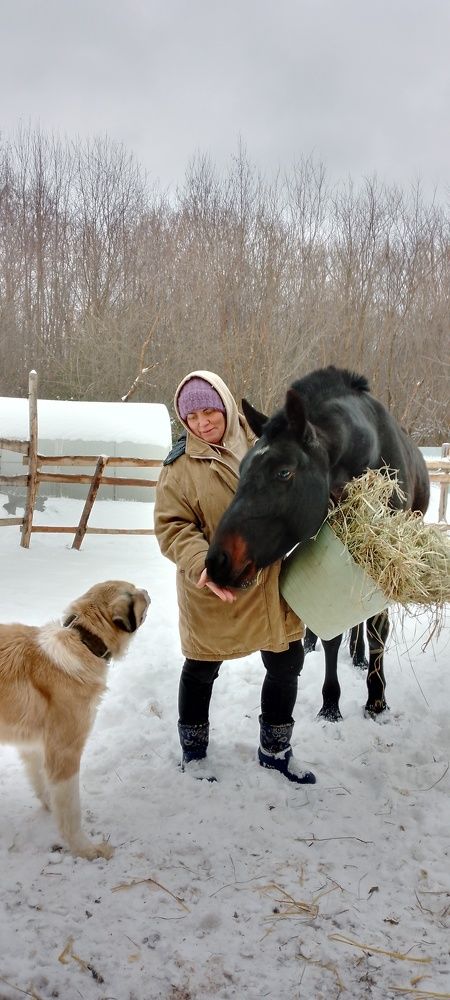 Photo #9965800