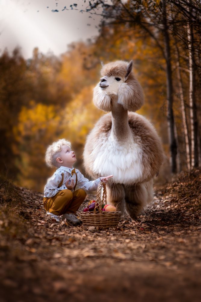 Photograph by Алена Шепель