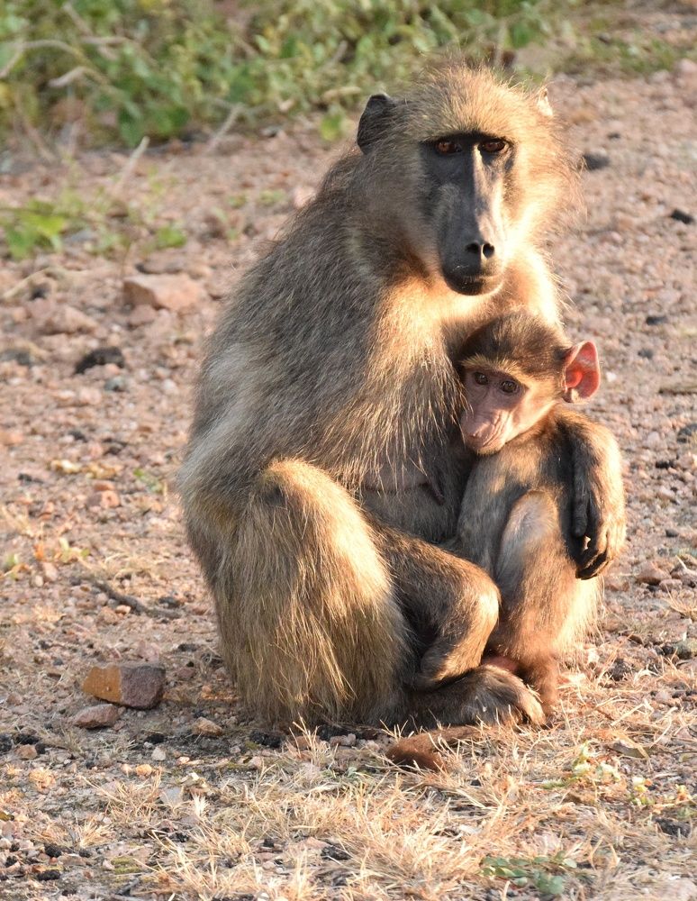 Photograph by Michelle Storm