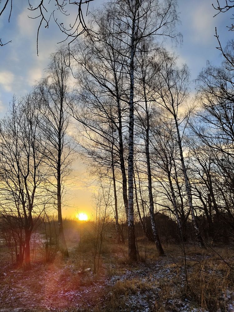 Photo #9965963
