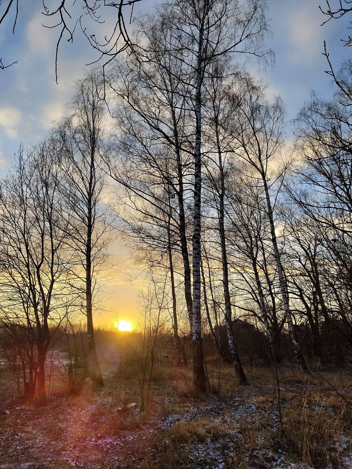 Photo #9965963