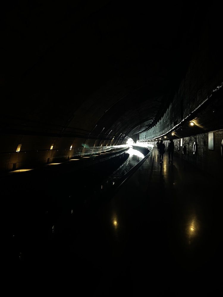 Photograph by Елена