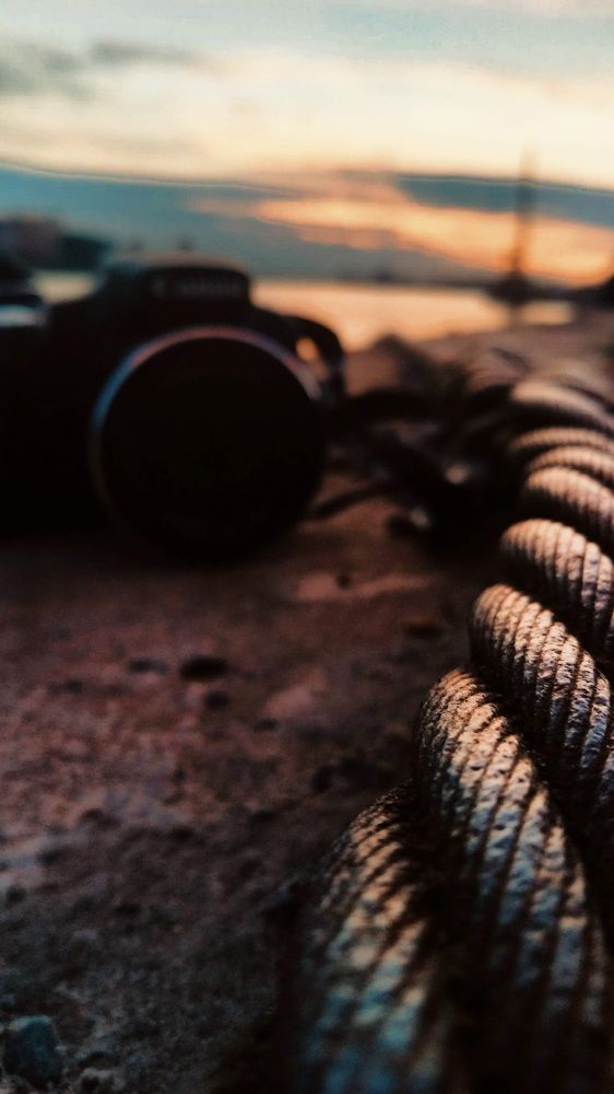 Фотография автора Марина Алексеевская