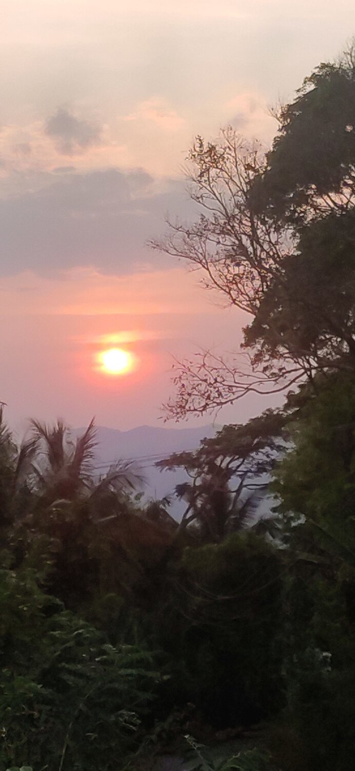 Photo #9965997