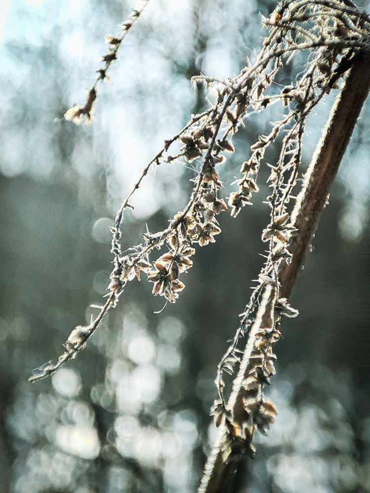Photograph by Александра Петрова