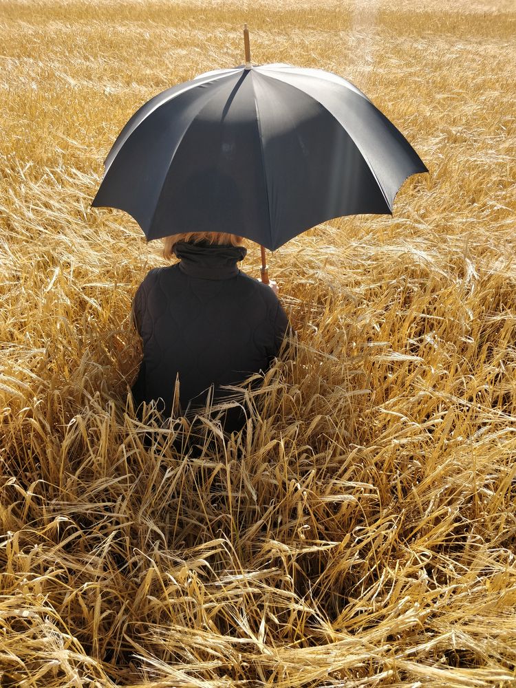 Фотография автора Михаил Голянский