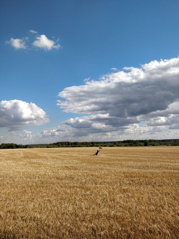 Фотография автора Михаил Голянский