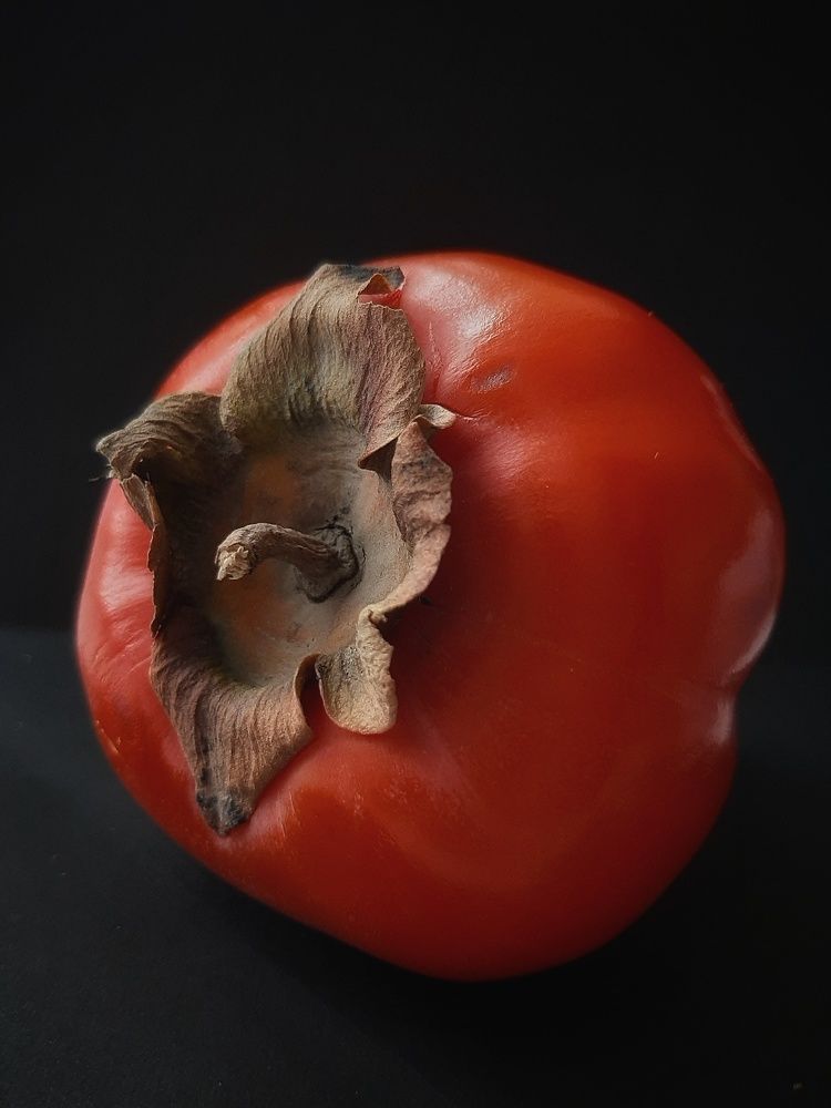 Photograph by Кристина Панченко