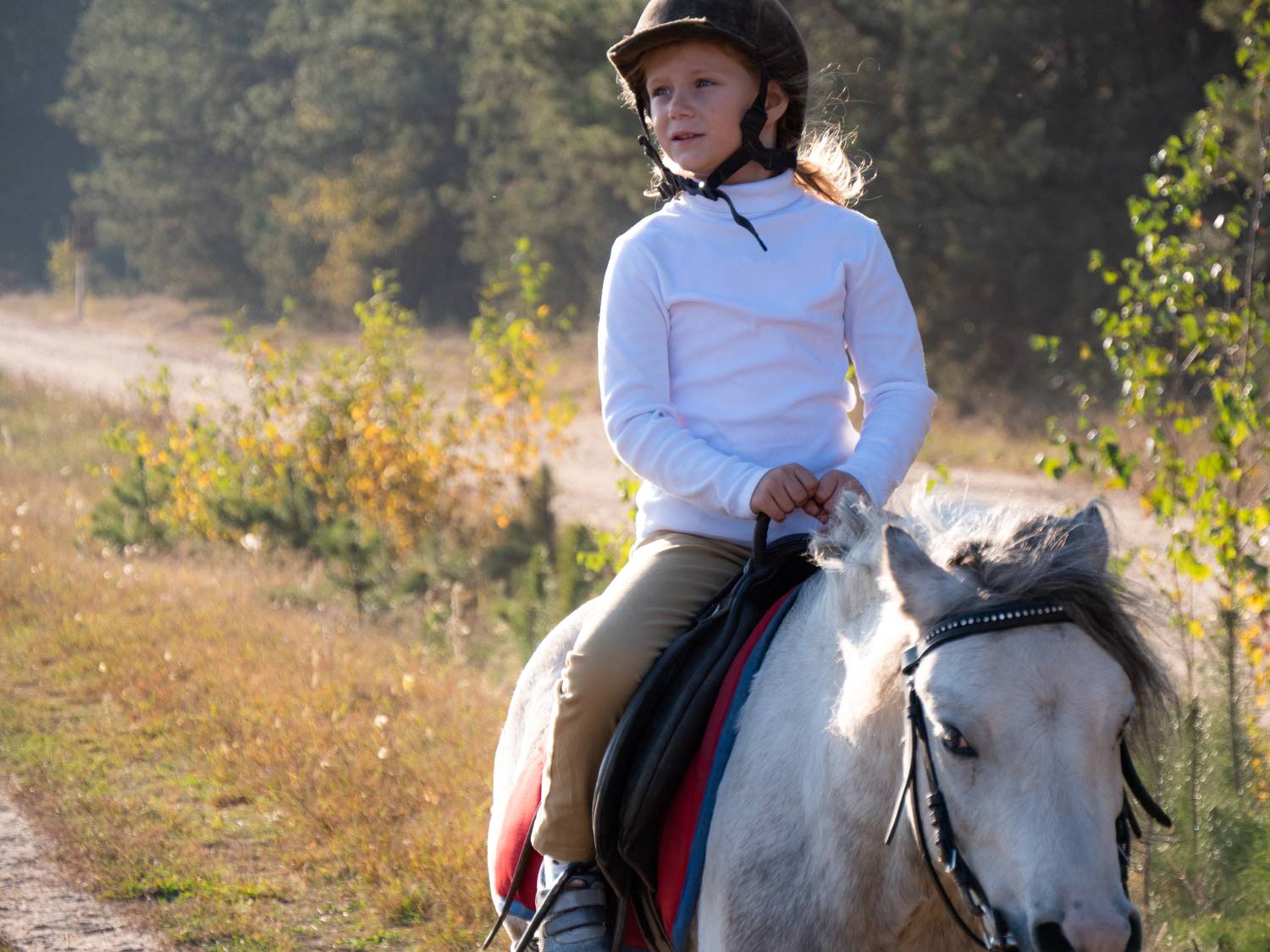 Фотография #9966210