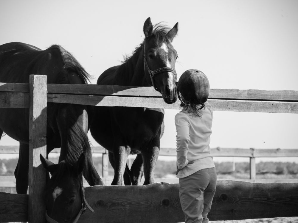 Фотография автора Александр Галах