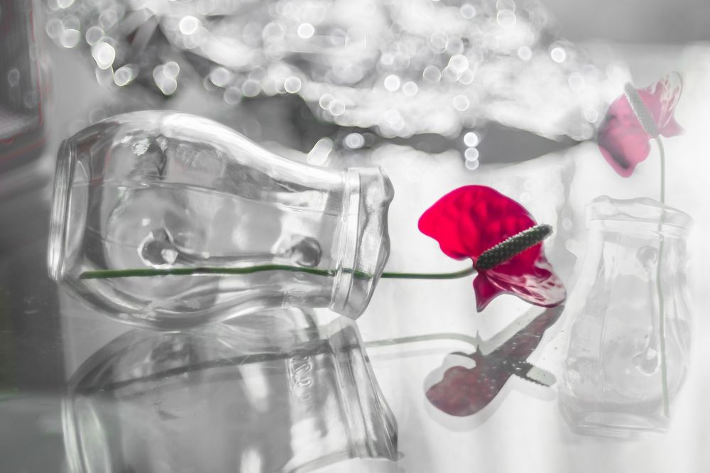 Photograph by Irina Luidinshina