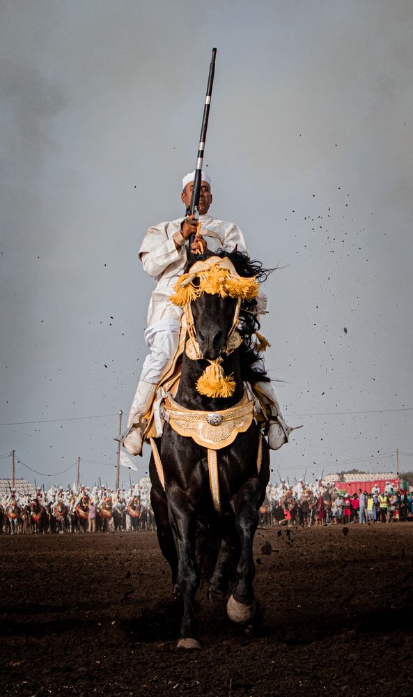 Elegant Equestrian: A Knight in Stylish Attire Riding a Horse