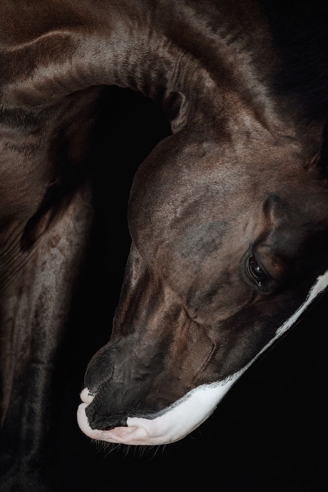 Фотография автора Дарья Ералева