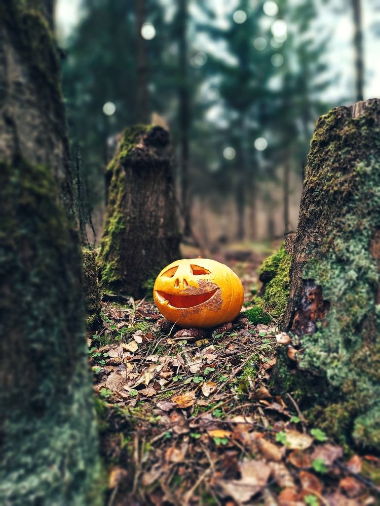 Photograph by Вячеслав Щёголев