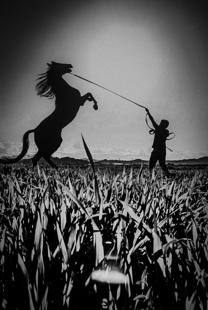 Photograph by Mahdi vagahri shorche