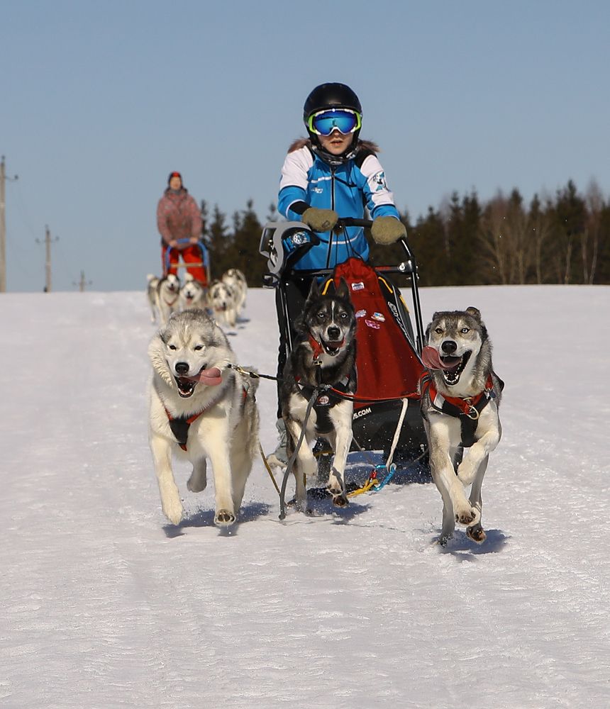 Photograph by Елена Одынец