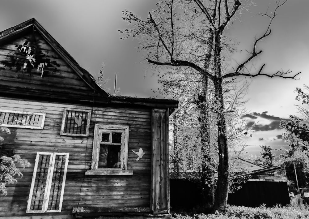 Photograph by Николай Клопов