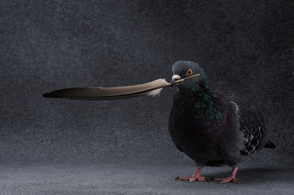 Photograph by Евгений Студитский