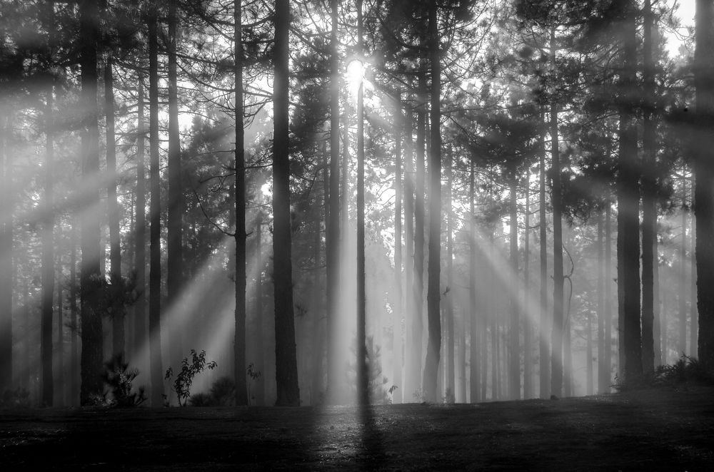 Photograph by Montserrat Alviani