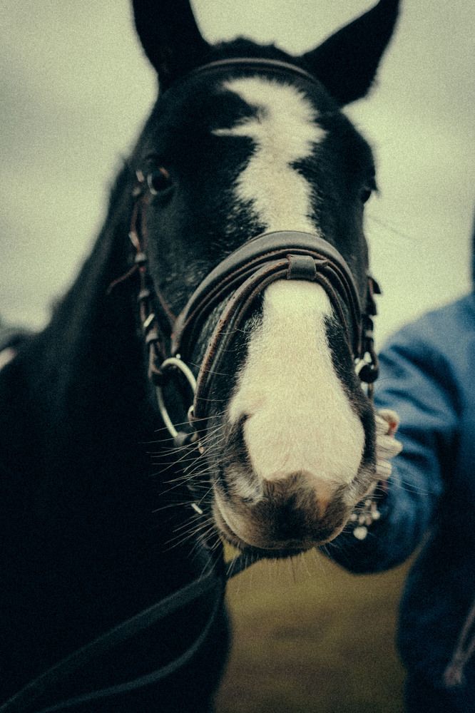 Фотография автора Viktor Orlov