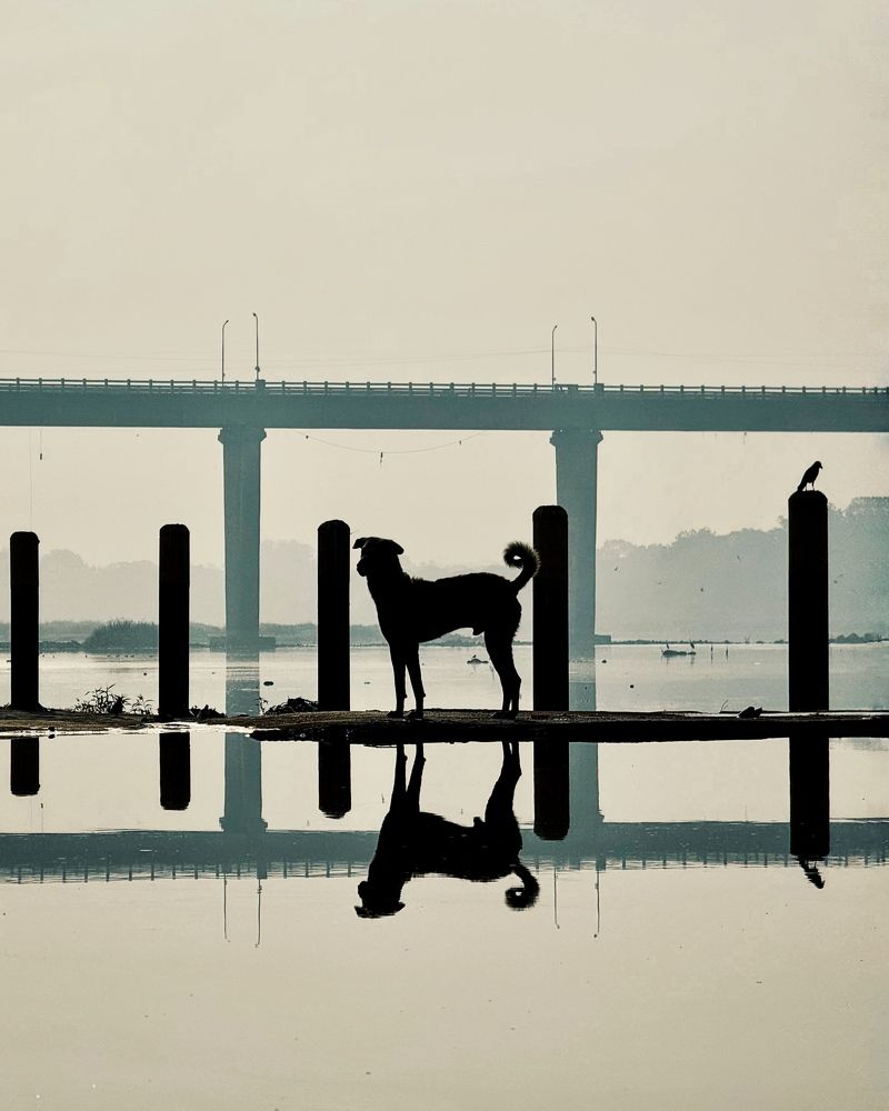 Photograph by Kedar Diwakar Mandakhalikar