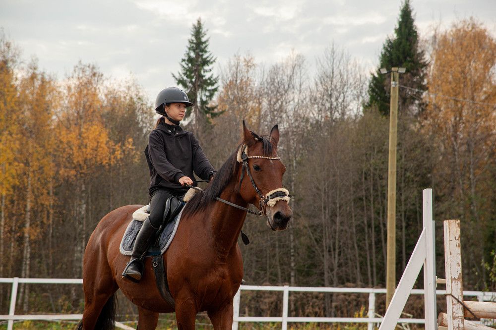 Photograph by Алина Соснина