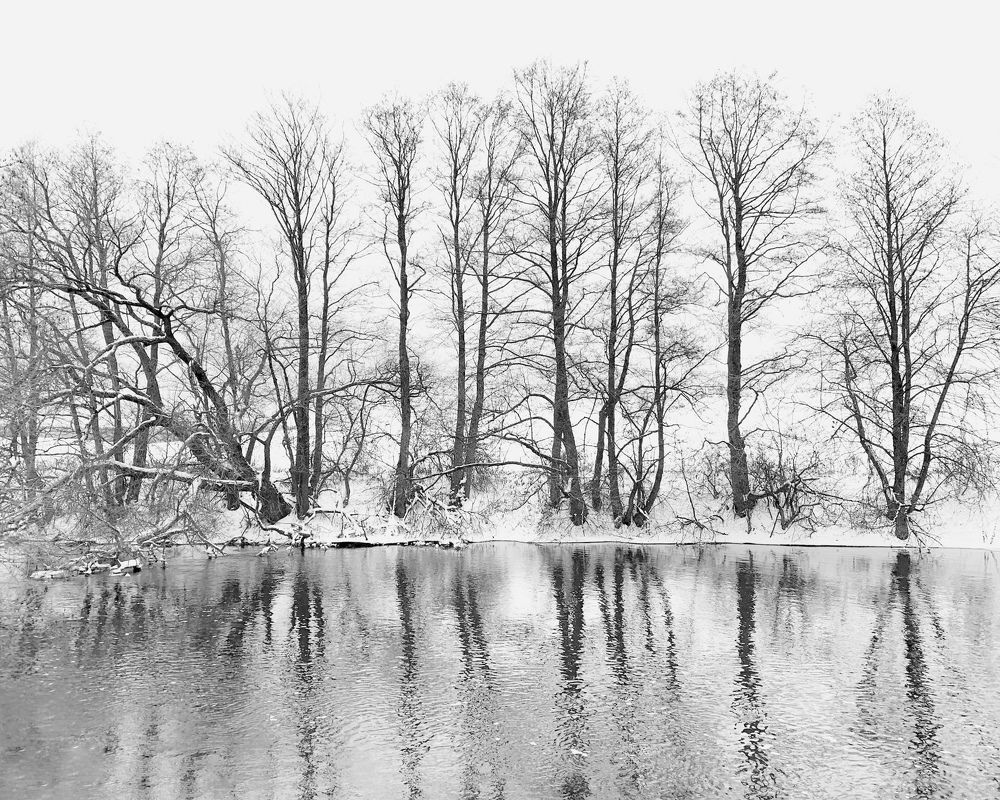 Photograph by Надежда Смирнова