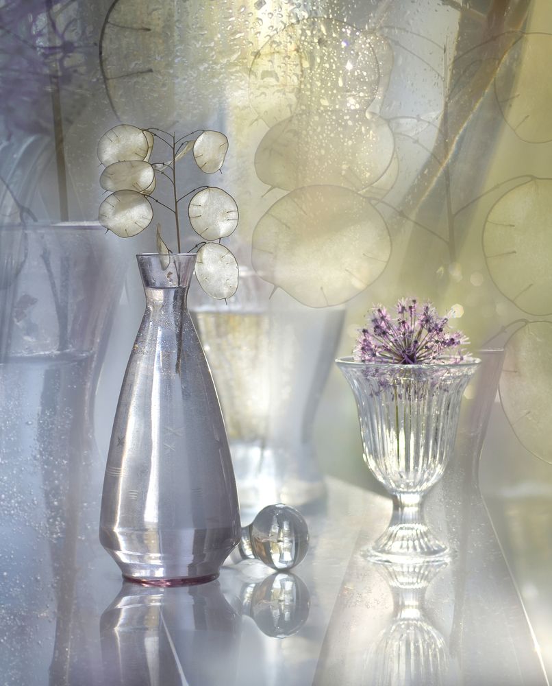 Фотография автора Ирина Шипунова