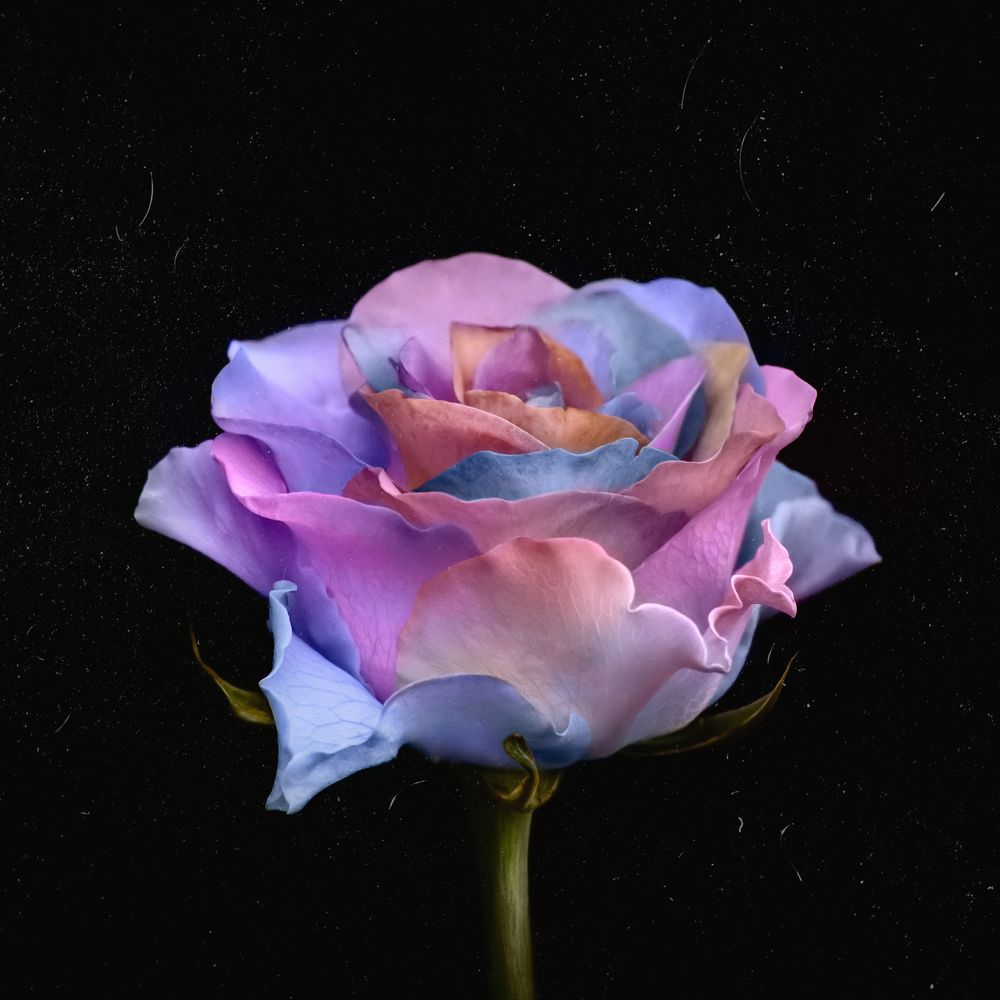 Photograph by Алексей Горин