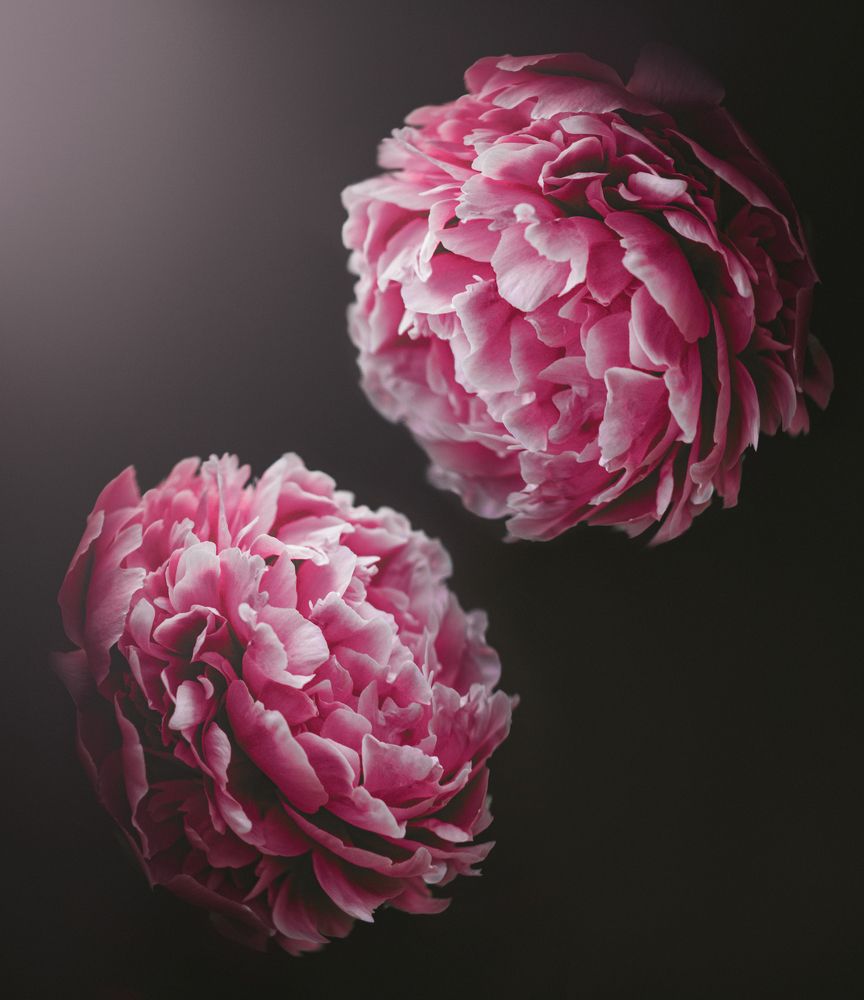 Photograph by Алексей Горин