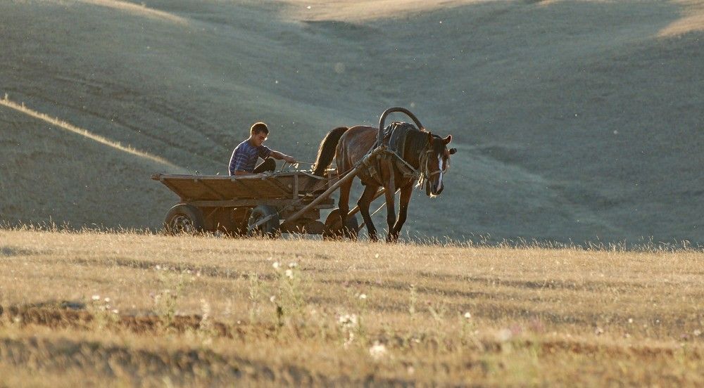 Photograph by Фомина Марина