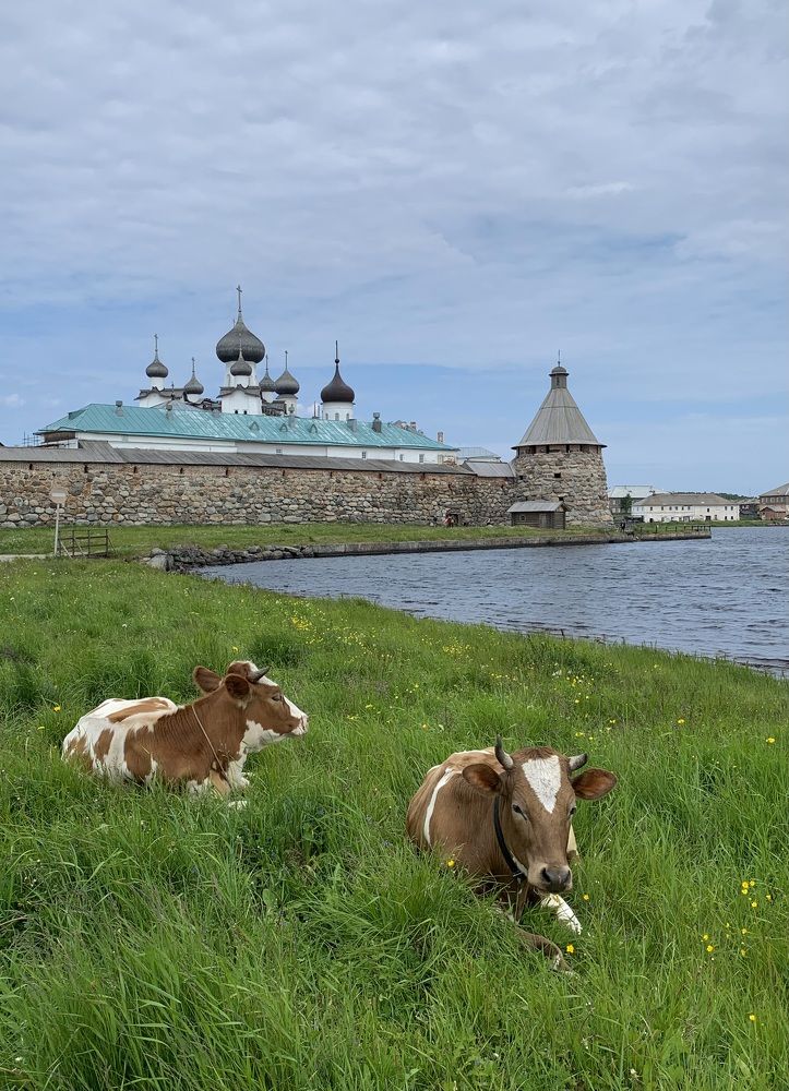 Photograph by Наталья Бирук