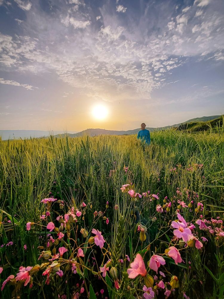 Photograph by Reza sharbaf