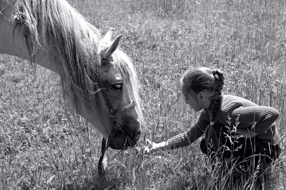 Photograph by Фомина Марина