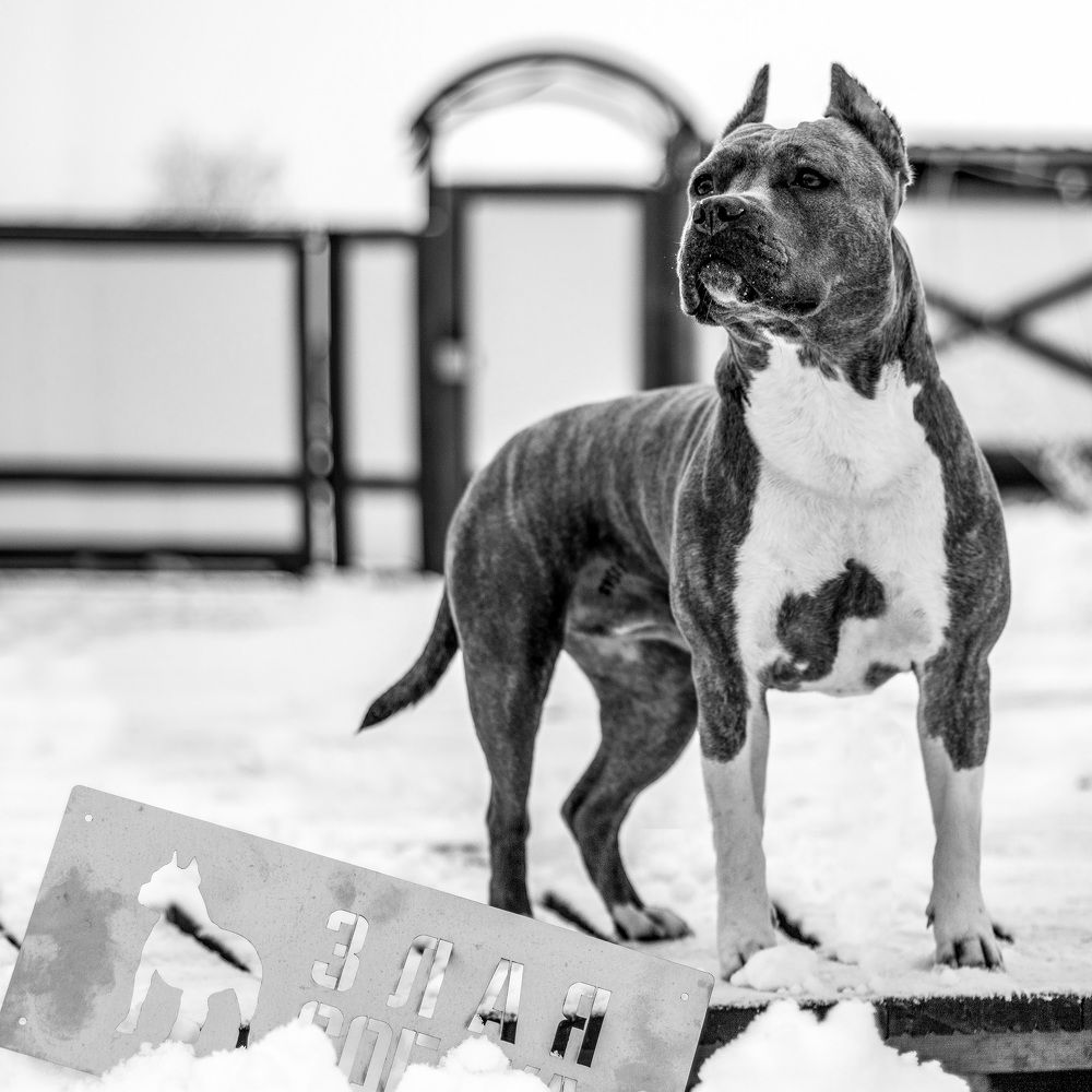 Photograph by Клемянок Сяргей