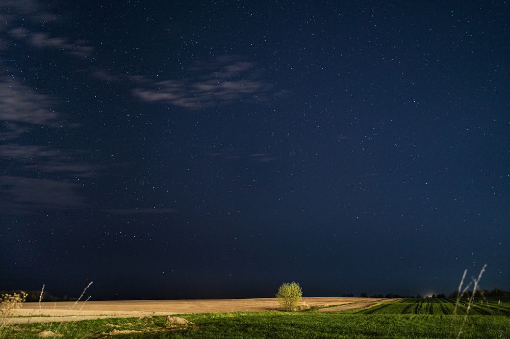 Photograph by Руслан Лазарев