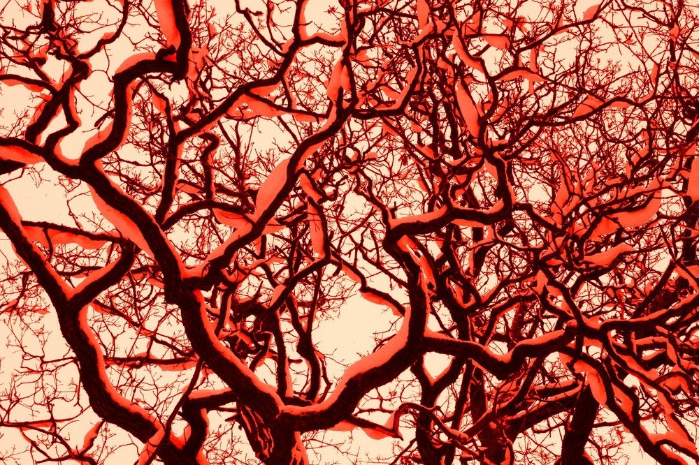 Photograph by Mikhail Novikov