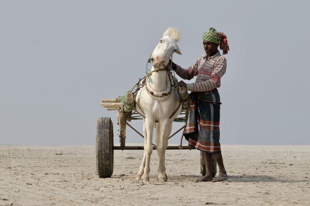 Photograph by Washiful Majid