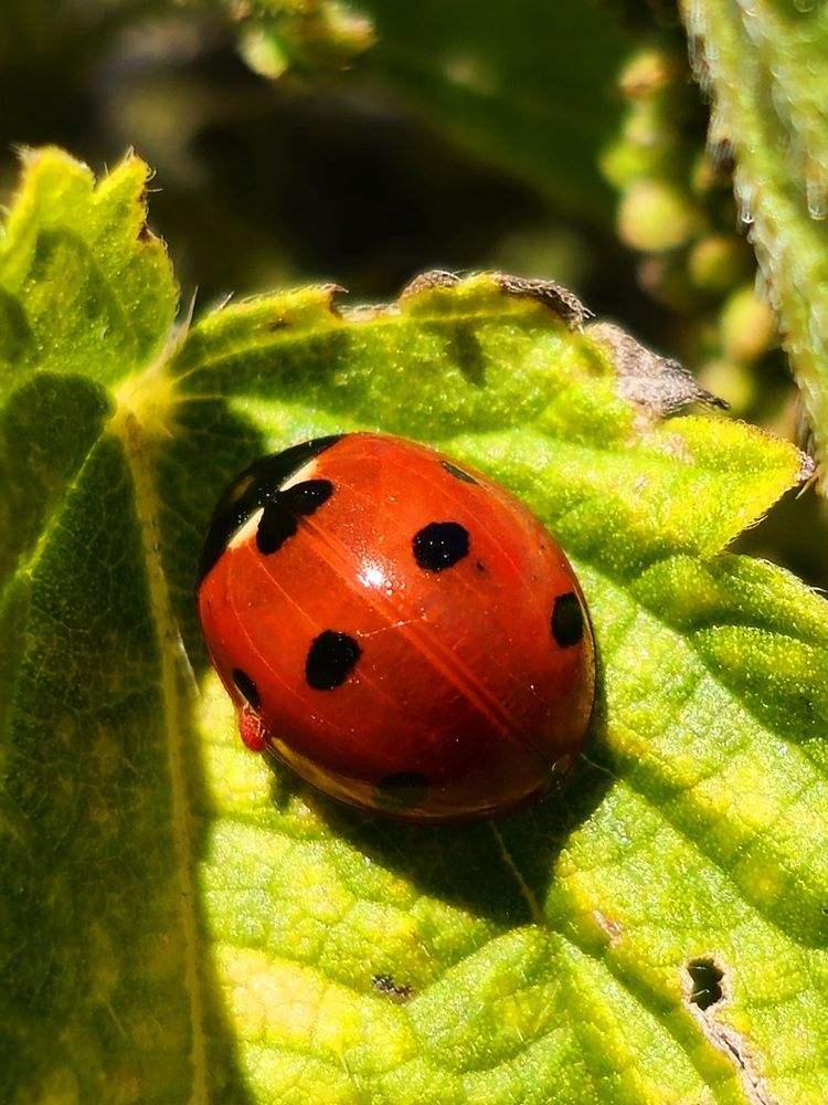 Photograph by Владислав Моисеев