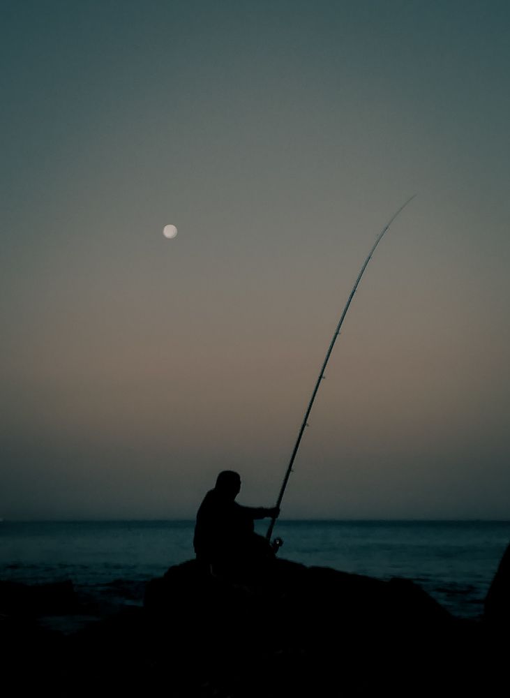 Photograph by Ahmed FahmyZa