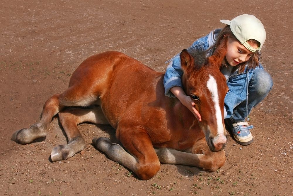 Photograph by Заболотская Ольга