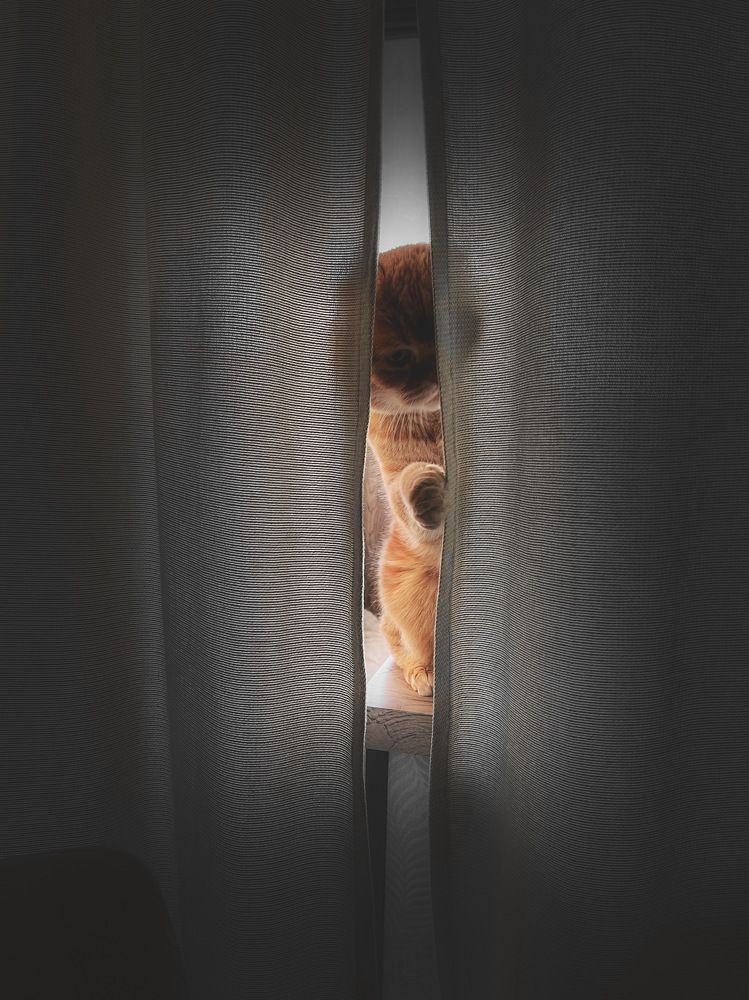 Photograph by Марина Урусова