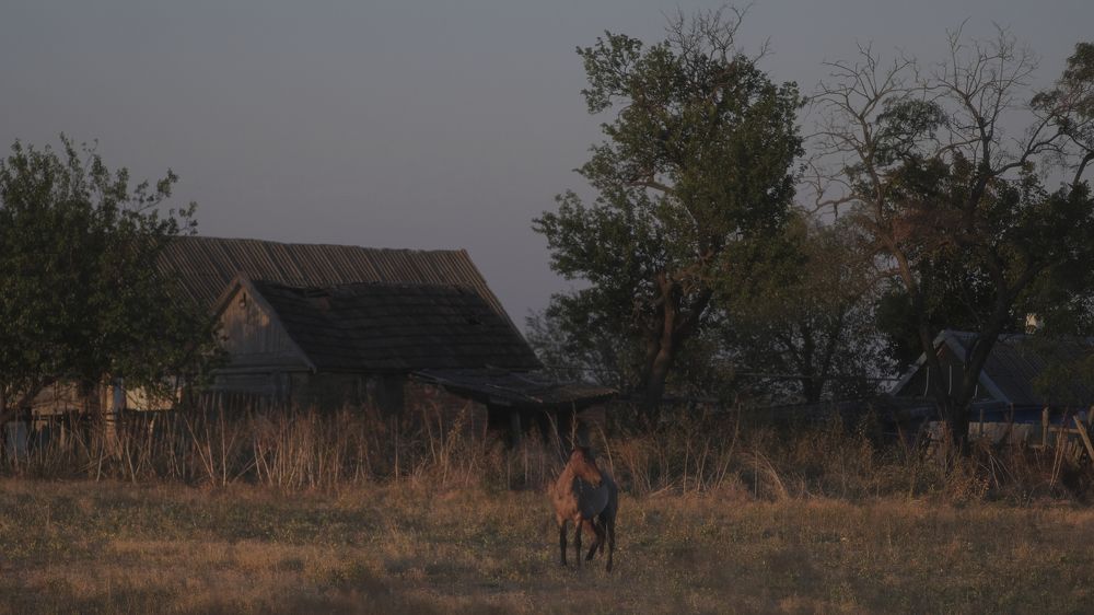 Photograph by Вадим Буцыкин